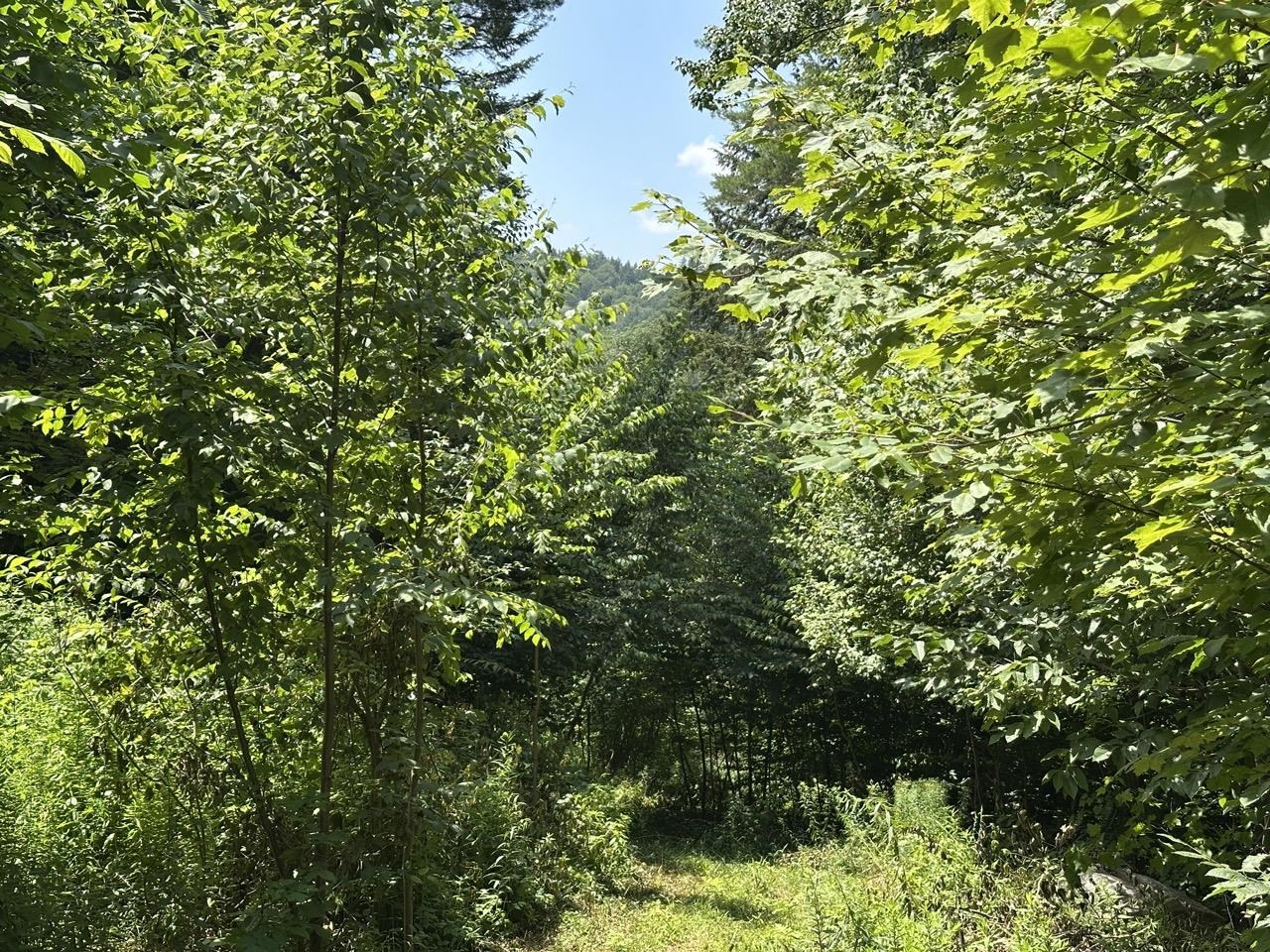 0 Vt Route 103, Unit LOT 3 Chester, VT 05143 - Photo 37 of 60