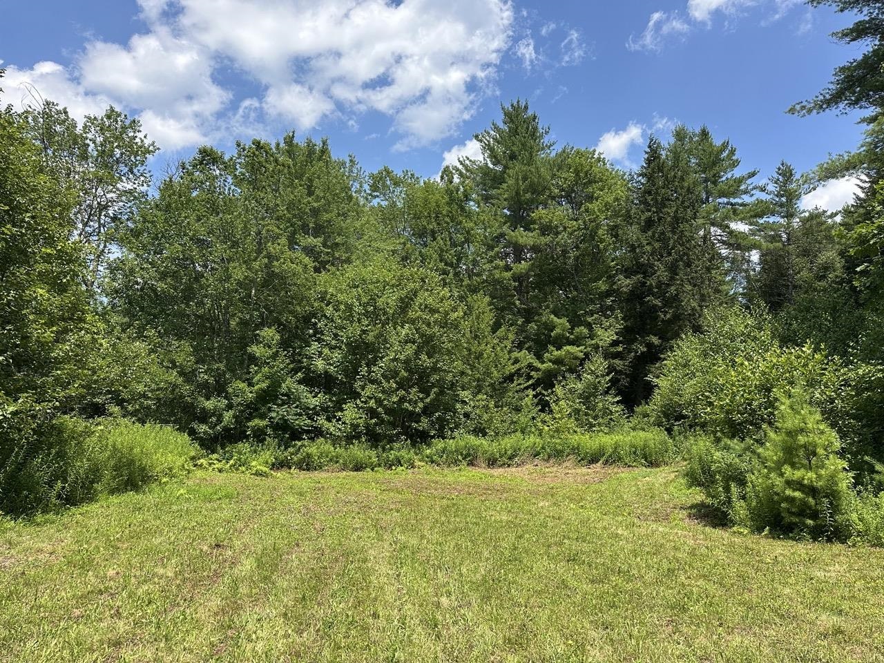 0 Vt Route 103, Unit LOT 3 Chester, VT 05143 - Photo 38 of 60