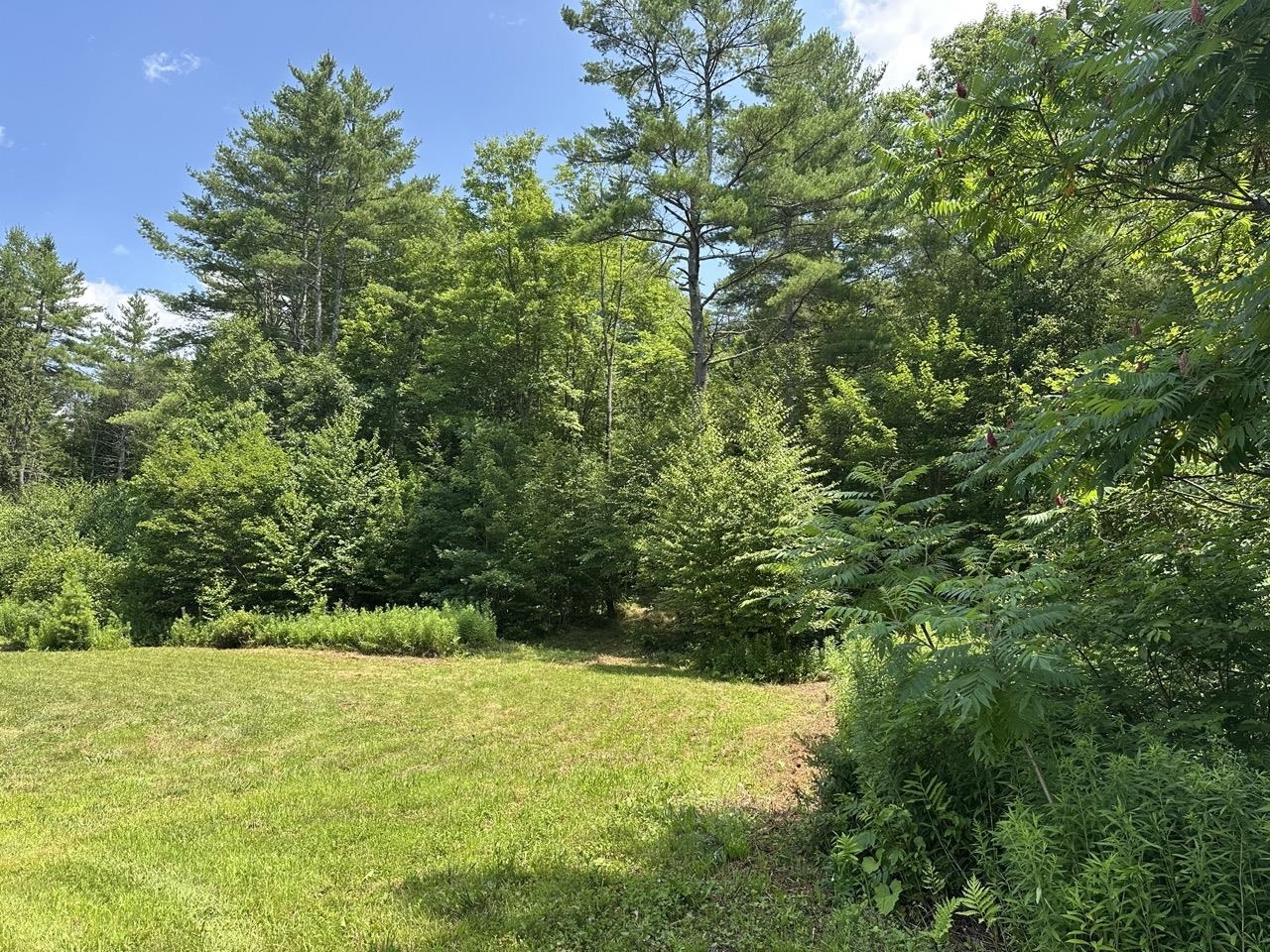 0 Vt Route 103, Unit LOT 3 Chester, VT 05143 - Photo 41 of 60