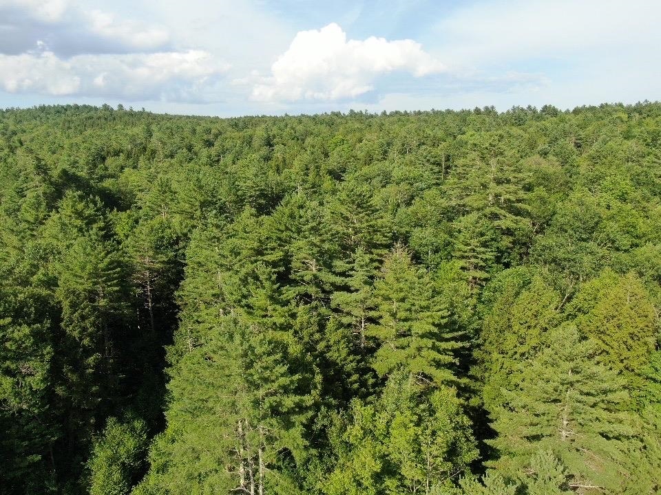 0 Vt Route 103, Unit LOT 3 Chester, VT 05143 - Photo 43 of 60