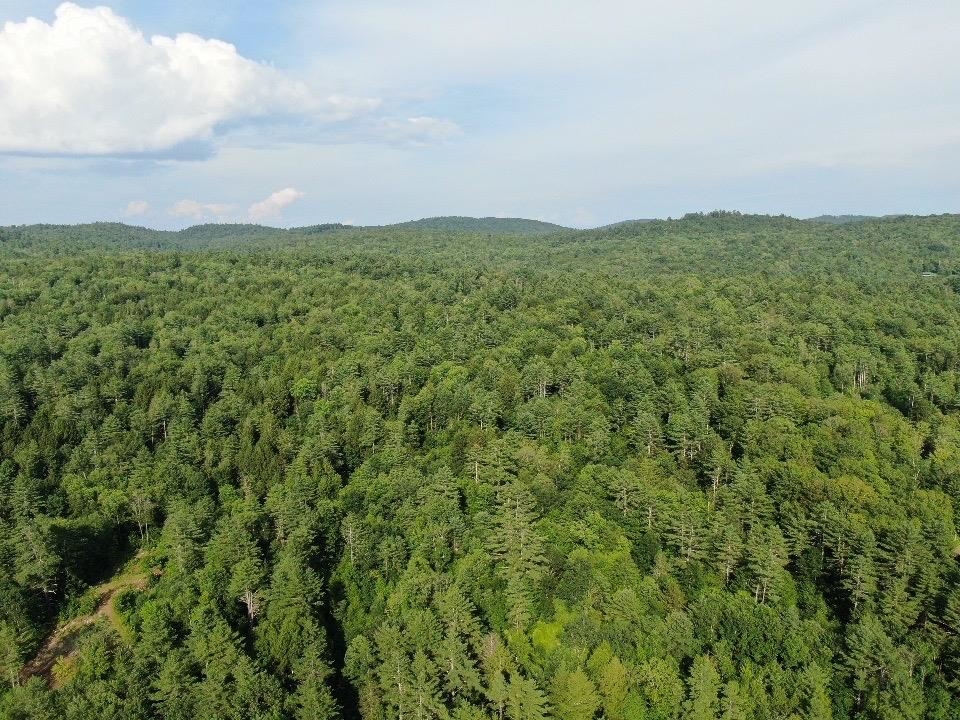 0 Vt Route 103, Unit LOT 3 Chester, VT 05143 - Photo 56 of 60