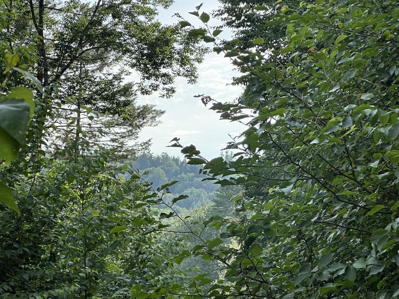 0 Vt Route 103, Unit LOT 3 Chester, VT 05143 - Photo 7 of 60