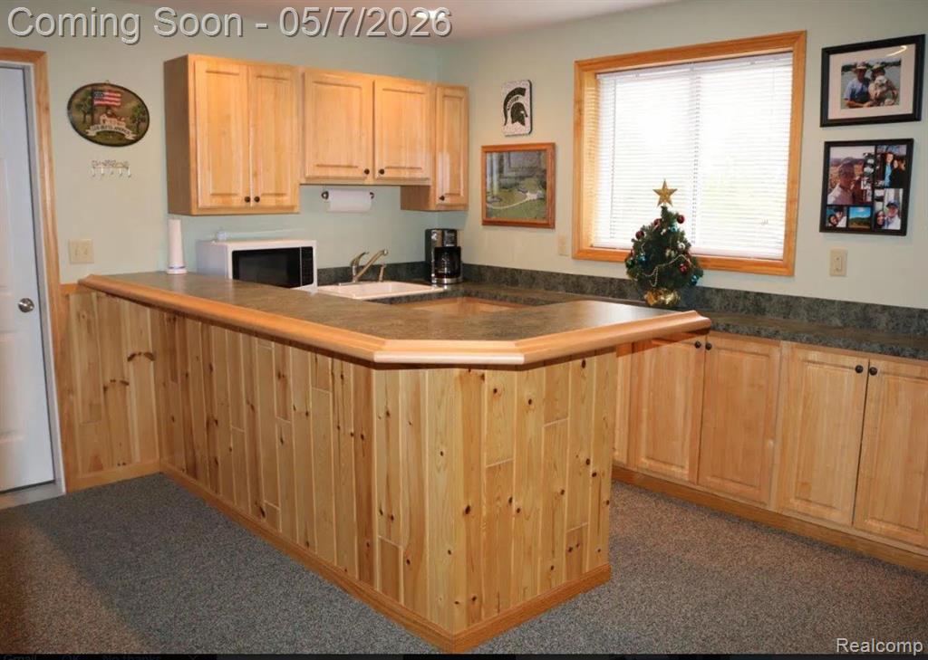 6595 Little Canada Road Cheboygan, MI 49721 - Photo 6 of 12