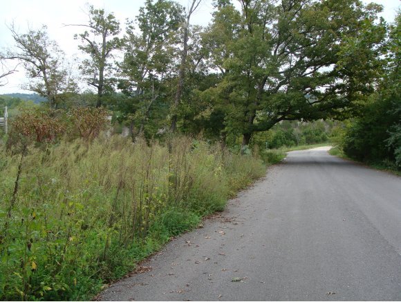 334 Stratford Road Hollister, MO 65672 - Photo 1 of 1 Primary Photo