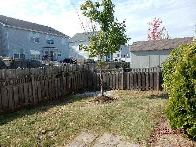 1415 Roth Drive Joliet, IL 60431 - Photo 3 of 19