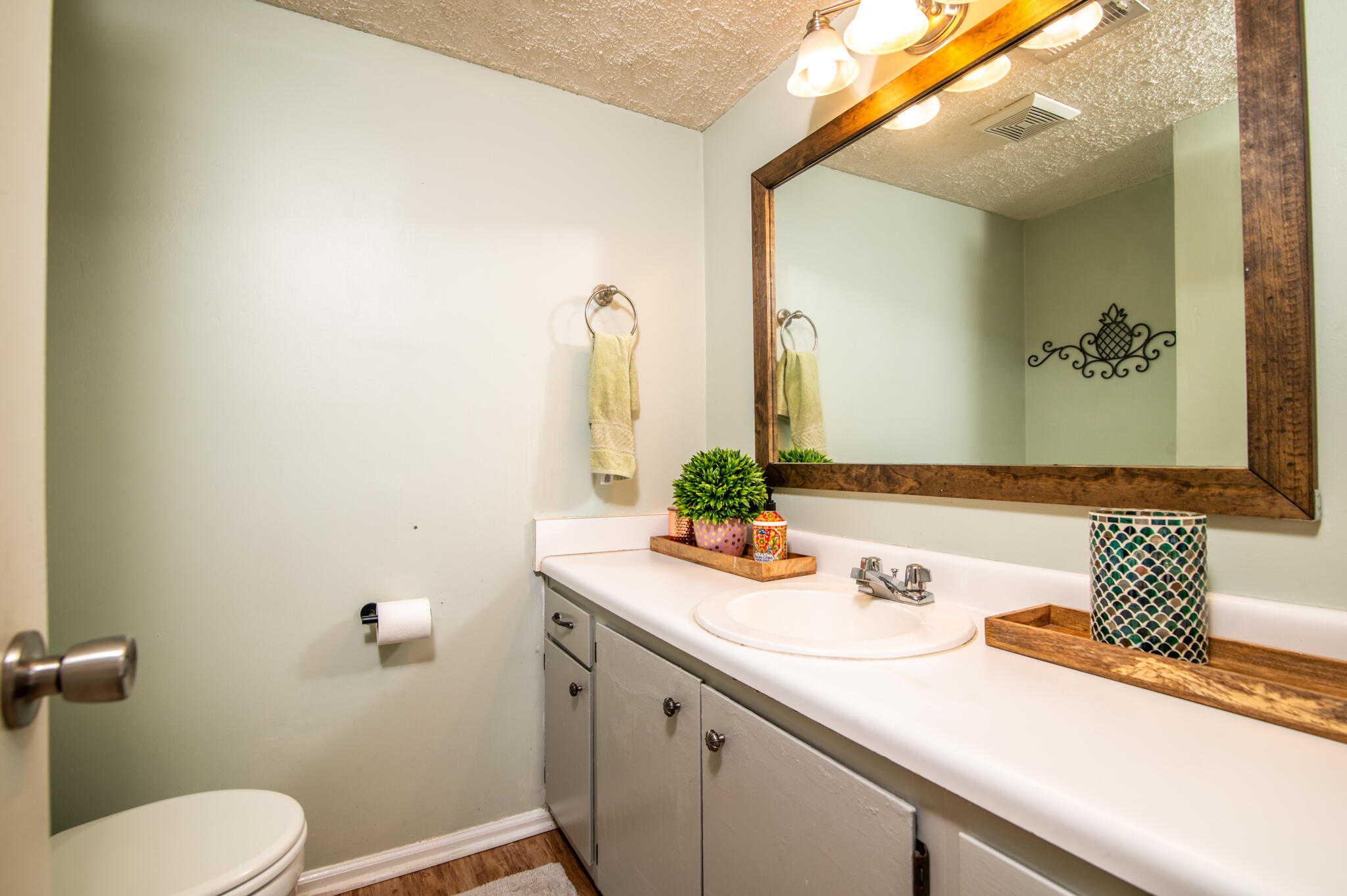 1681 Hunter's Run Drive, Unit 1681 Mount Pleasant, SC 29464 - Photo 5 of 13 bathroom