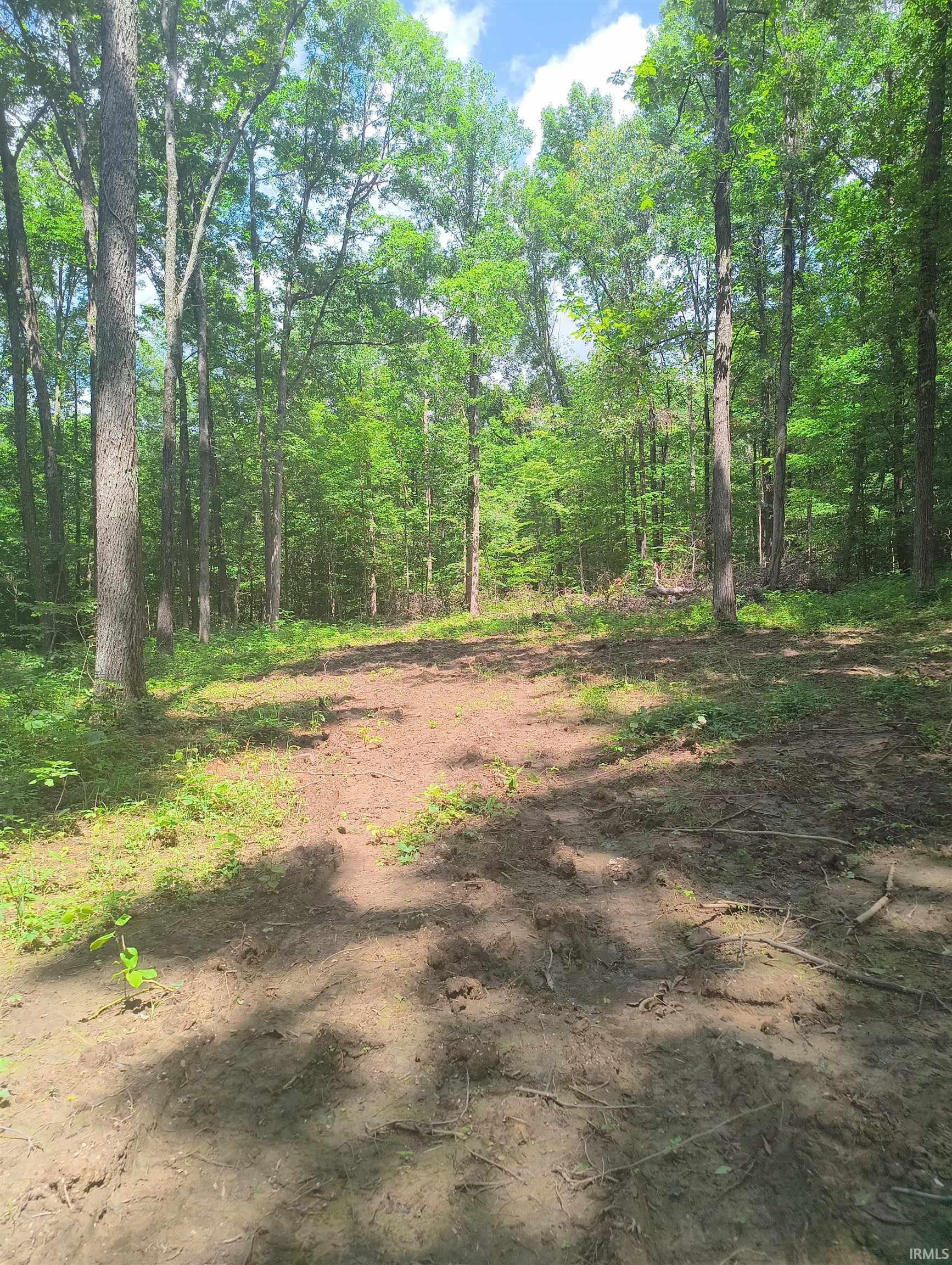 2500 South Coalmine Road Bloomfield, IN 47424 - Photo 5 of 12