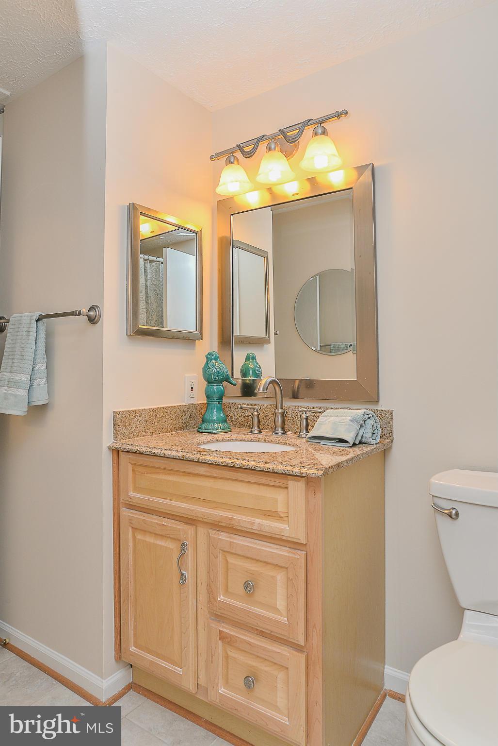 10972 Granby Court Reston, VA 20191 - Photo 17 of 30 Bath (Master)