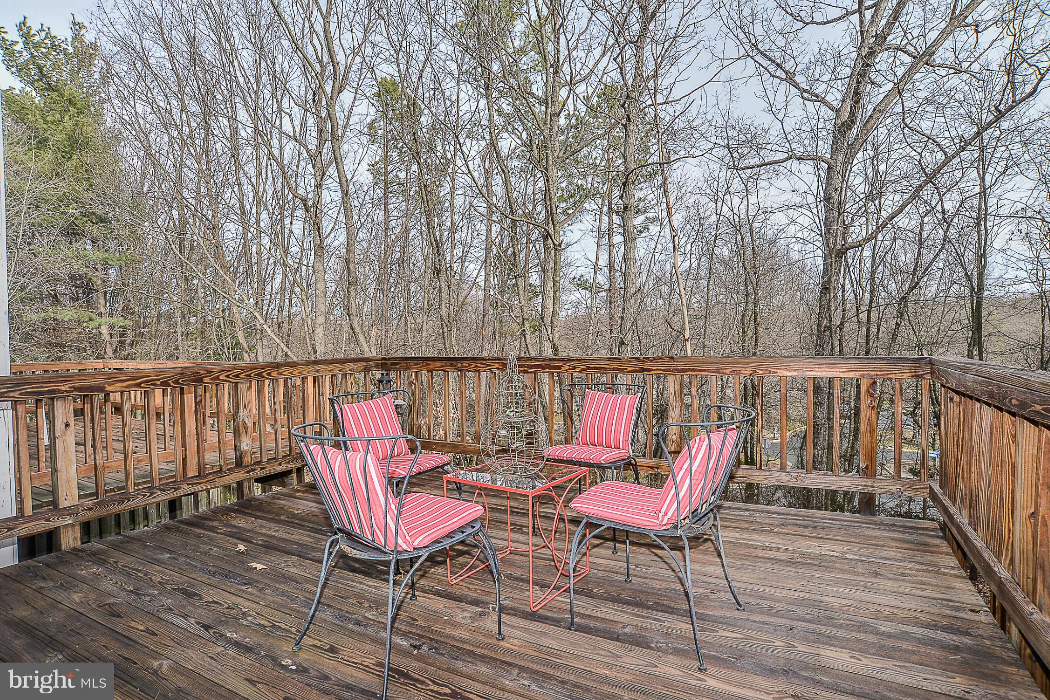 10972 Granby Court Reston, VA 20191 - Photo 26 of 30 Deck, Backs to woods and Privacy