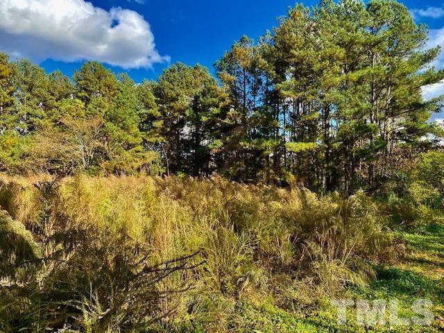 Club Pond Road Henderson, NC 27537 - Photo 1 of 6 Gallery Image 1