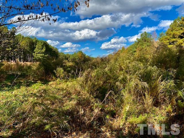 Club Pond Road Henderson, NC 27537 - Photo 5 of 6 Gallery Image 5
