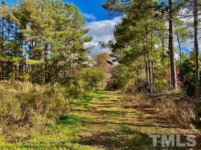 Club Pond Road Henderson, NC 27537 - Photo 6 of 6 Gallery Image 6