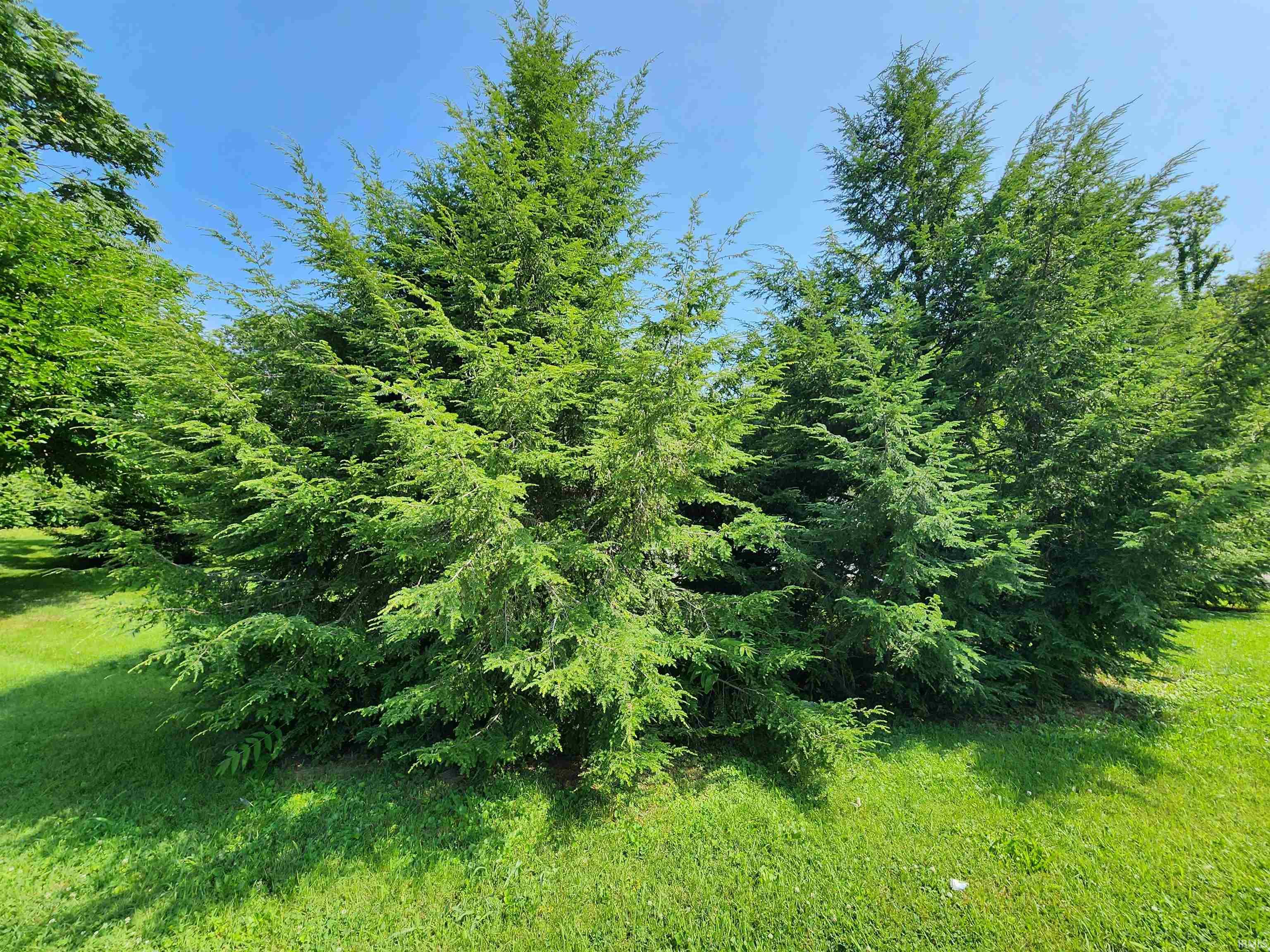 401 North Adams Street Bloomington, IN 47404 - Photo 21 of 22