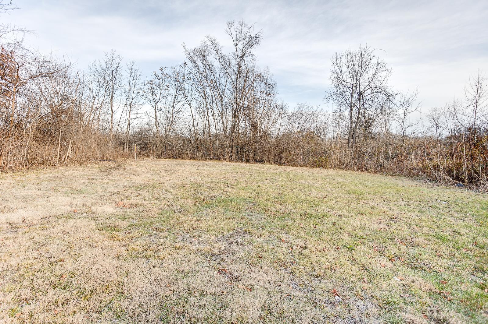 125 Edwards Street Cahokia, IL 62206 - Photo 5 of 24