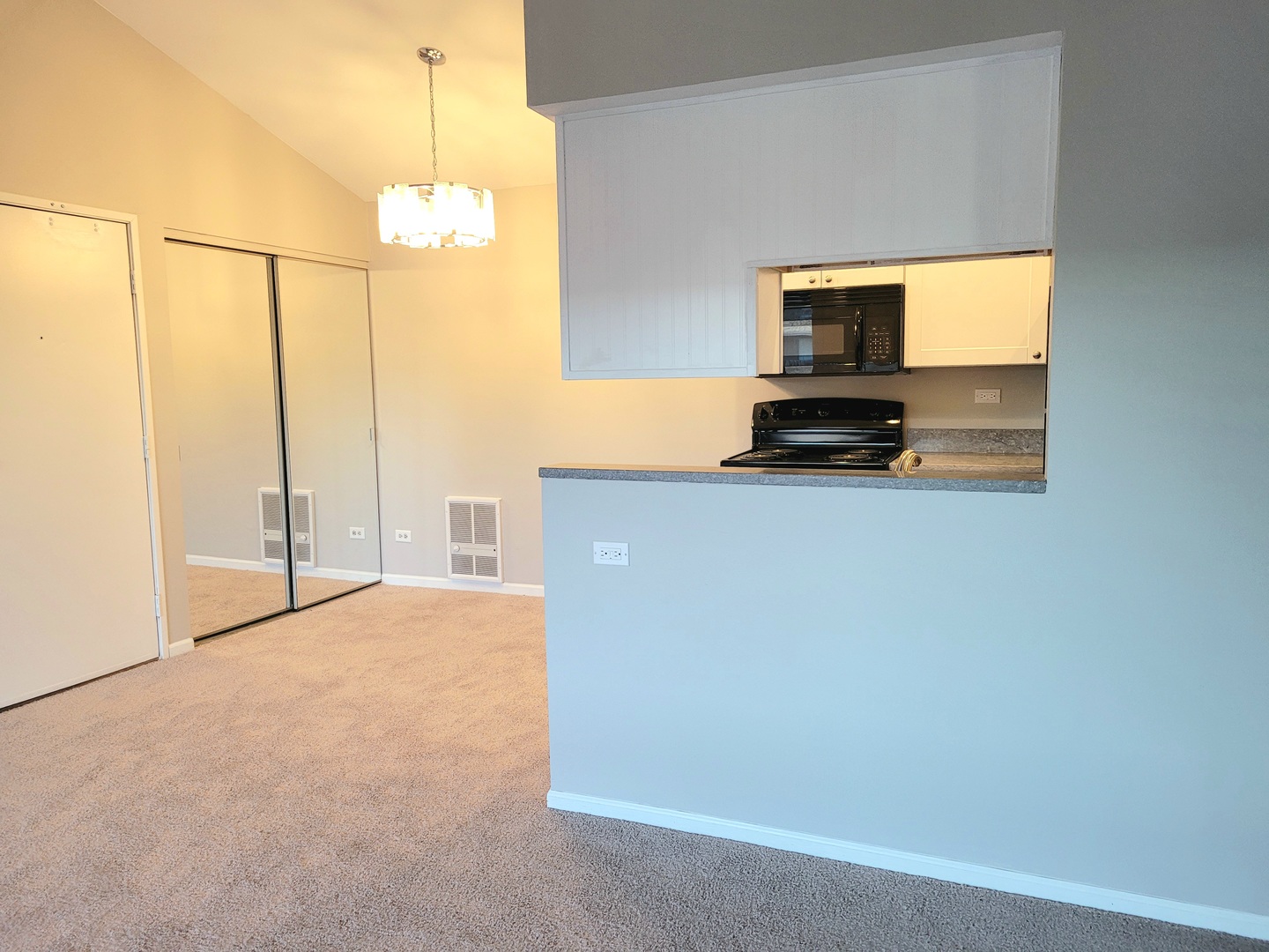 633 South Virginia Road, Unit 314 Crystal Lake, IL 60014 - Photo 7 of 29