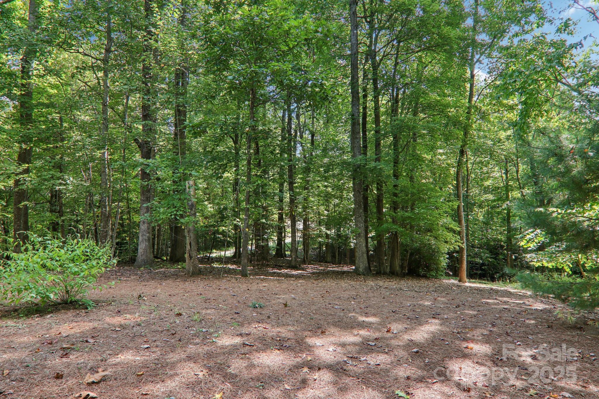 187 Ridgeview Drive Pisgah Forest, NC 28768 - Photo 37 of 40