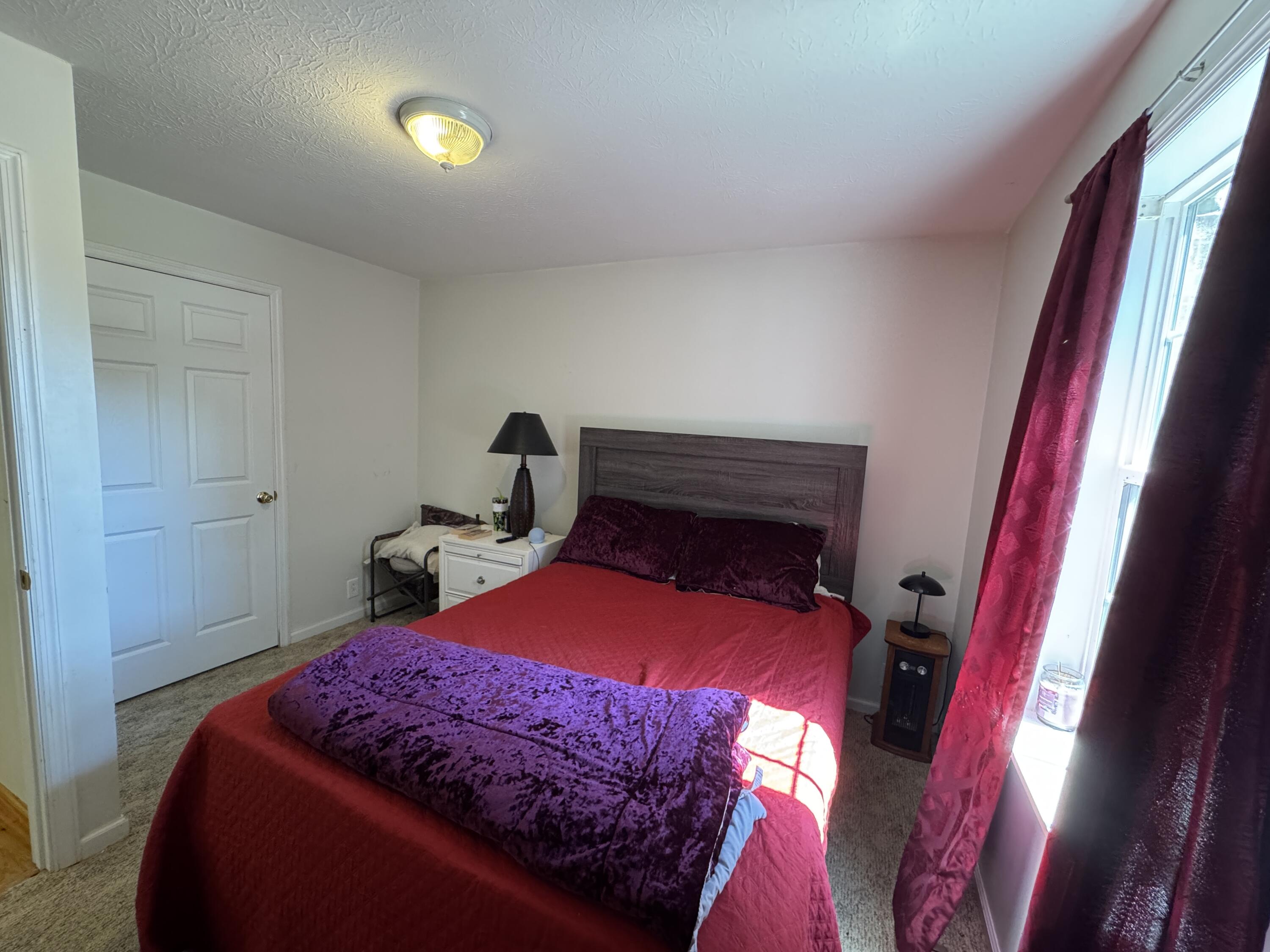 389 Skyland Farm Road Williston, SC 29853 - Photo 18 of 25