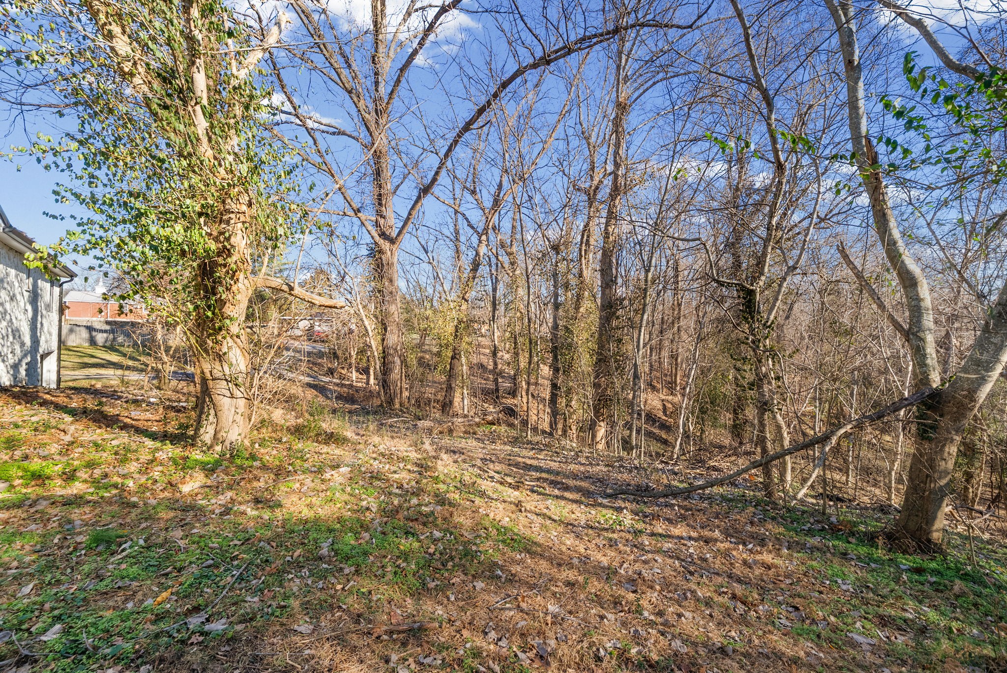 315 Rossview Road Clarksville, TN 37043 - Photo 29 of 31