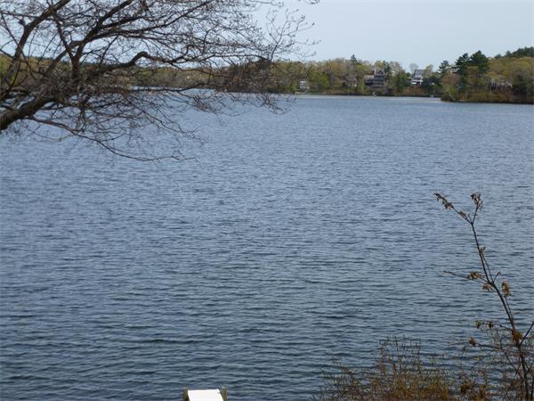 20 Schubert Road Plymouth, MA 02360 - Photo 3 of 14 Gallery Image 3
