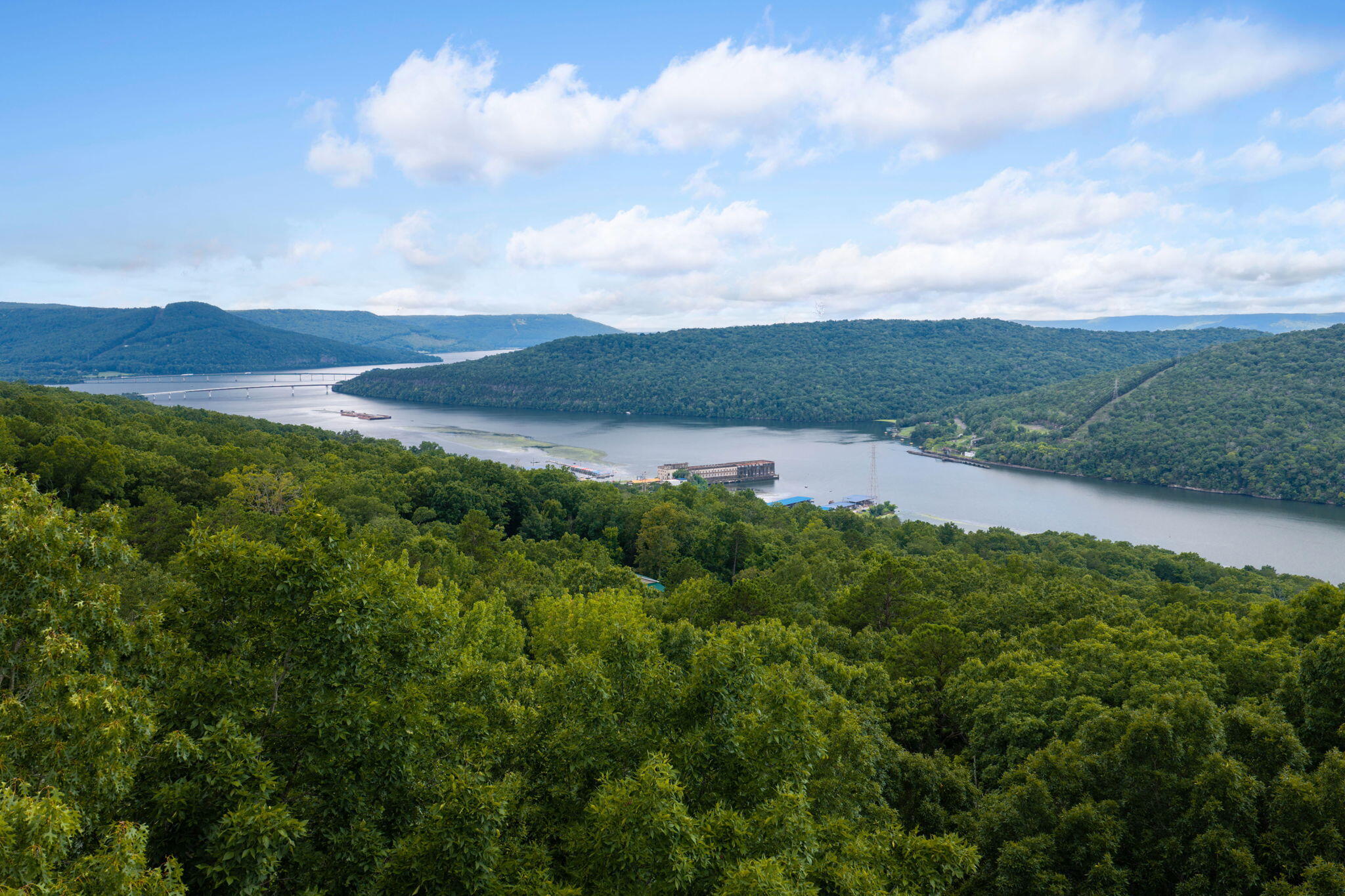 0 Highway 41 Guild, TN 37340 - Photo 8 of 15 13-web-or-mls-DJI_20260802110252_0610_D-