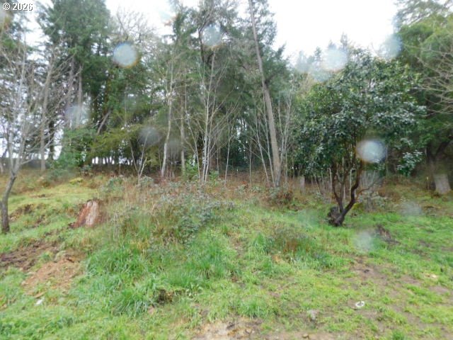 3464 Glenbrook Loop Road Riddle, OR 97469 - Photo 4 of 5