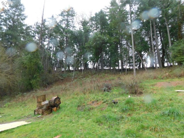 3464 Glenbrook Loop Road Riddle, OR 97469 - Photo 5 of 5