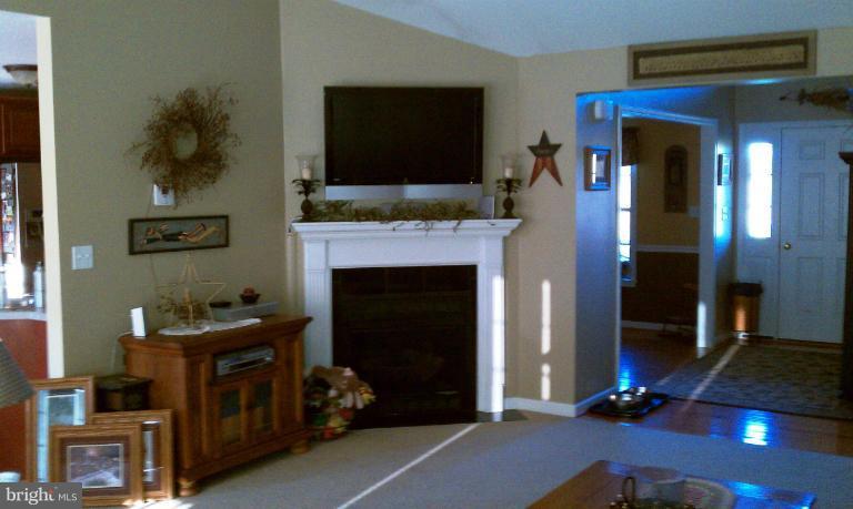 391 Co Rte 1/5 Falling Waters, WV 25419 - Photo 12 of 12 Family Room with Fireplace