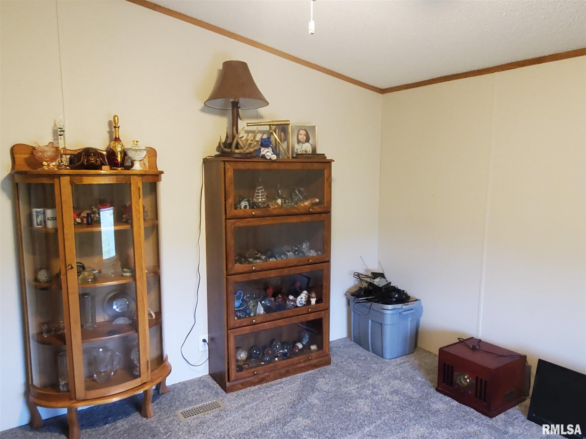 2551 Cedar Point Road Raleigh, IL 62977 - Photo 22 of 30 Gallery Image 22