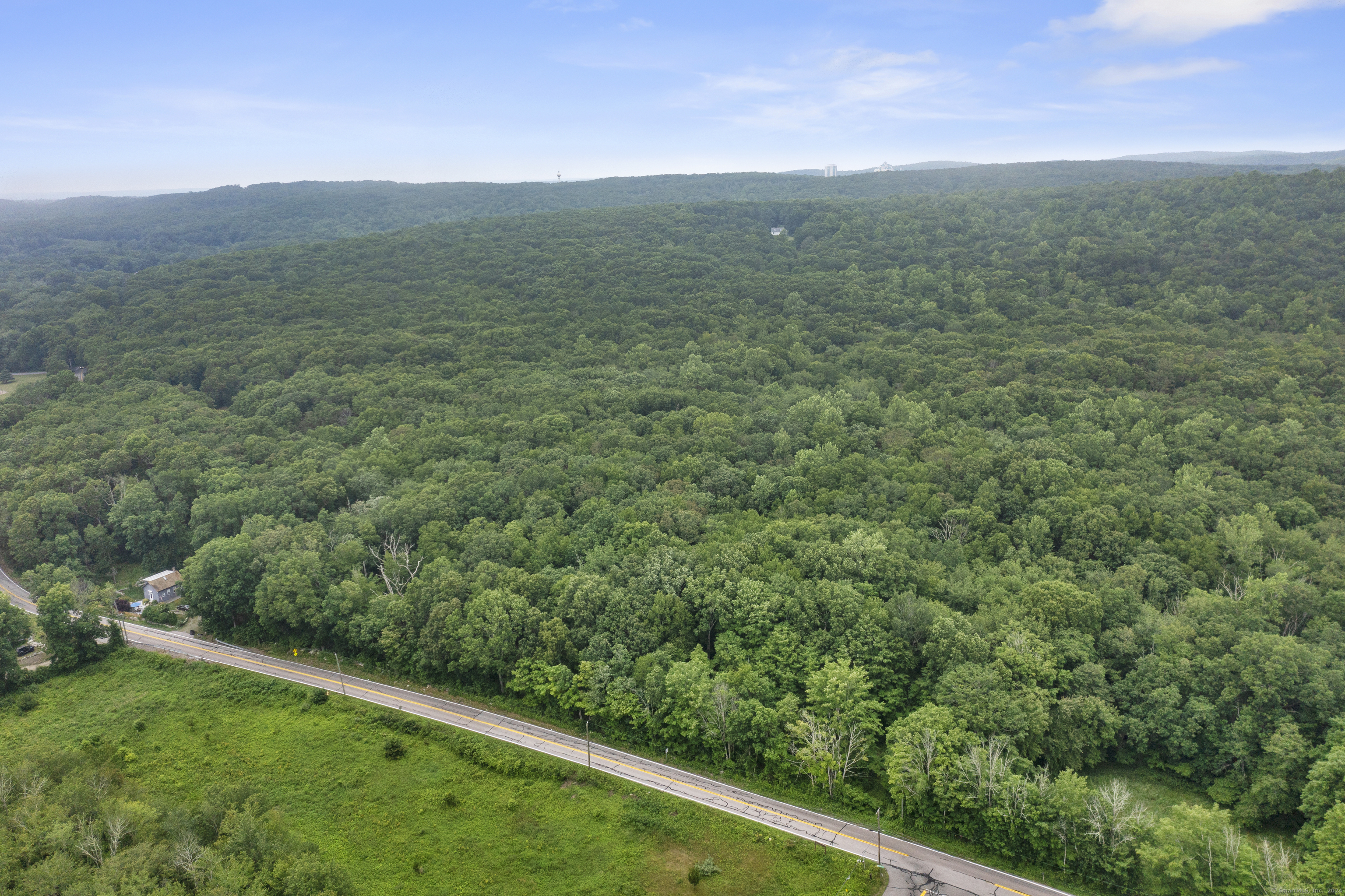 a view of a lush green forest with a mountain in the background