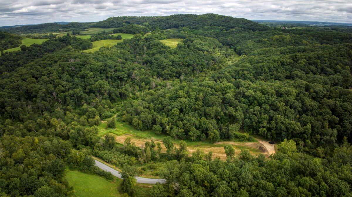 0 Helstad Coulee Road Ettrick, WI 54627 - Photo 1 of 1 1000024617