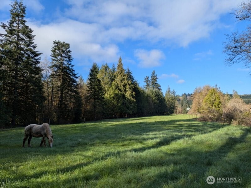 1319 Winlock-Vader Road, Unit 19 Winlock, WA 98596 - Photo 17 of 40