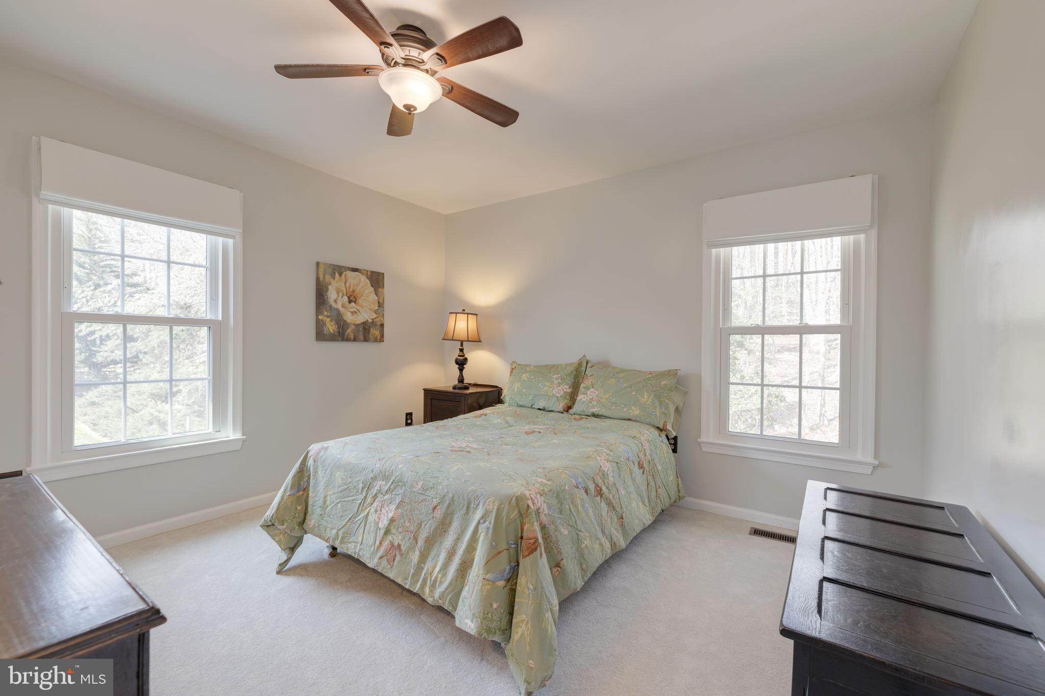 7736 Huntsman Boulevard Springfield, VA 22153 - Photo 45 of 70 Sunny BR 3
