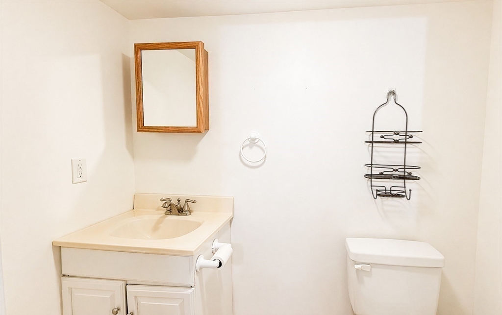 86 Howard Street, Unit 1 Waltham, MA 02451 - Photo 16 of 22 a bathroom with a sink a toilet and mirror
