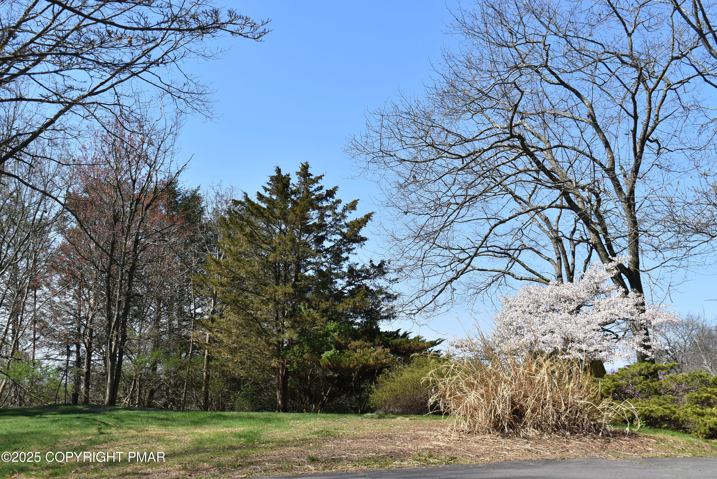 113 Jackson Road Shavertown, PA 18708 - Photo 11 of 52 DSC_7673