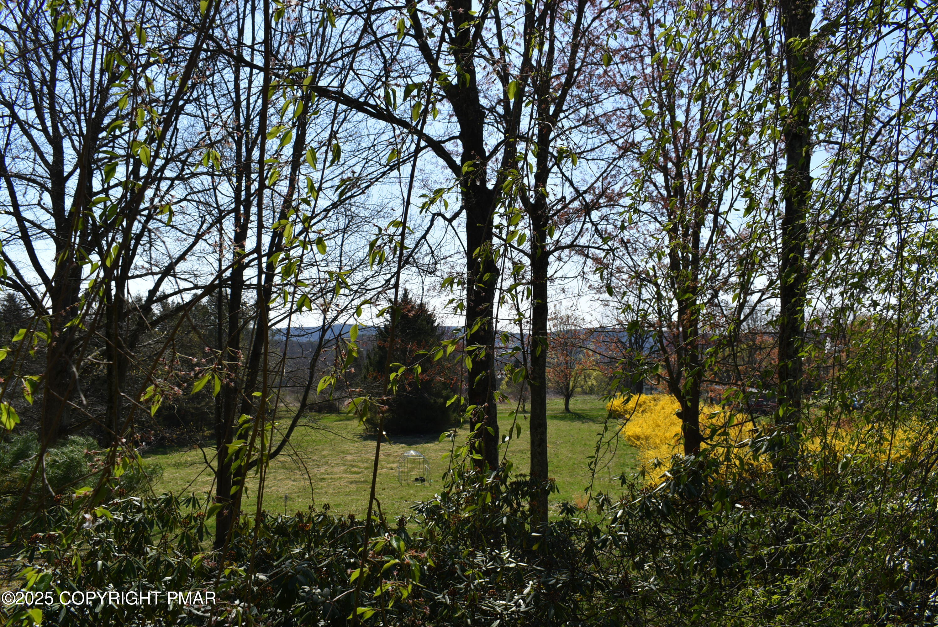 113 Jackson Road Shavertown, PA 18708 - Photo 13 of 52 DSC_7671