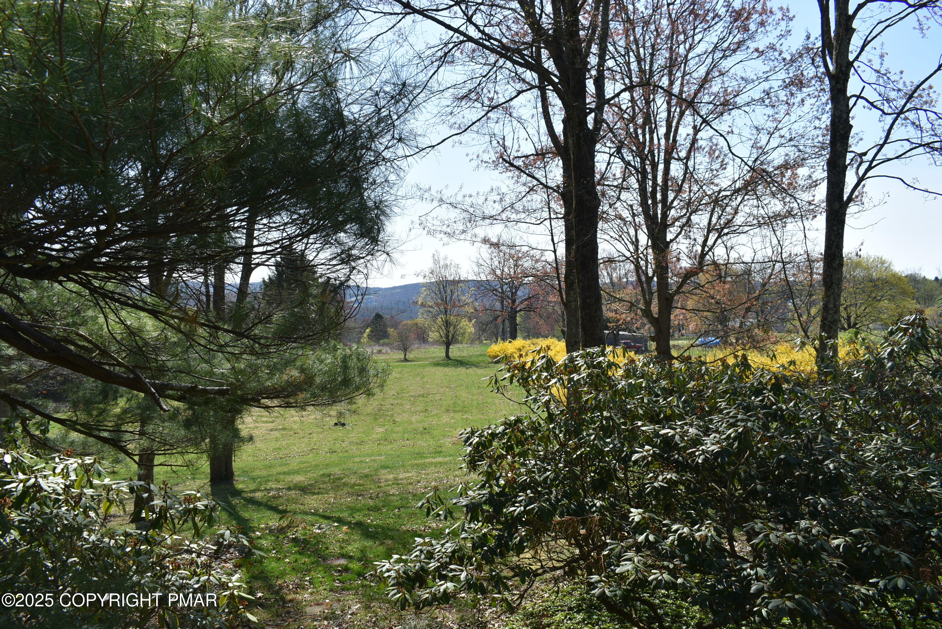 113 Jackson Road Shavertown, PA 18708 - Photo 14 of 52 DSC_7670