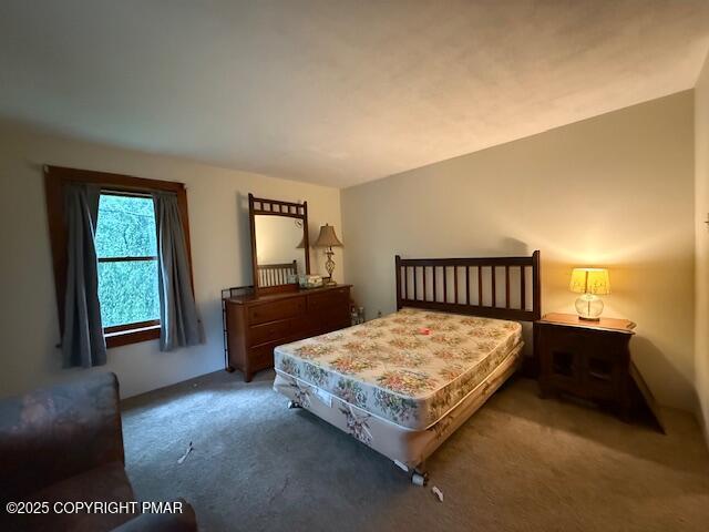 113 Jackson Road Shavertown, PA 18708 - Photo 39 of 49 IMG_2304
