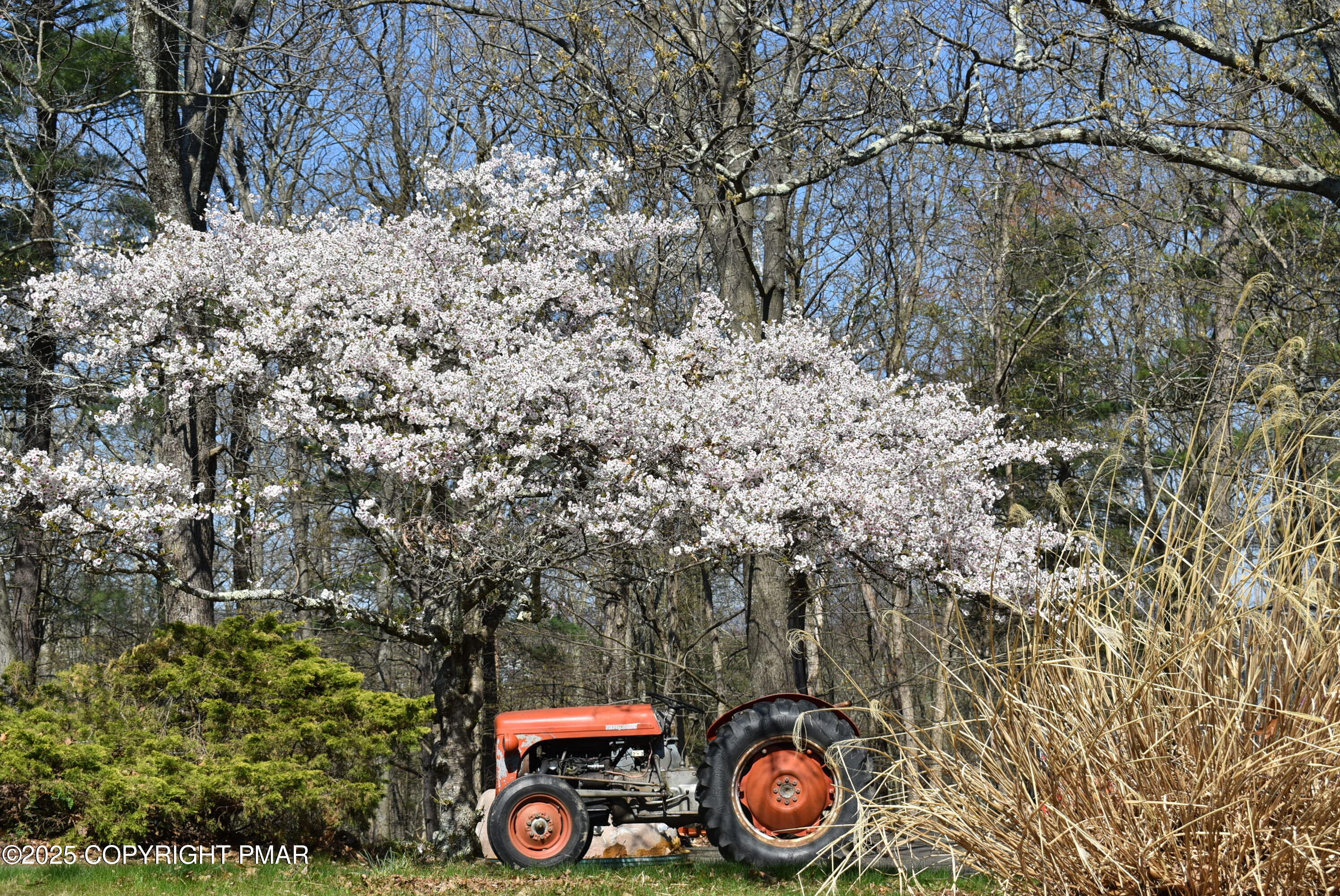 113 Jackson Road Shavertown, PA 18708 - Photo 4 of 52 DSC_7680