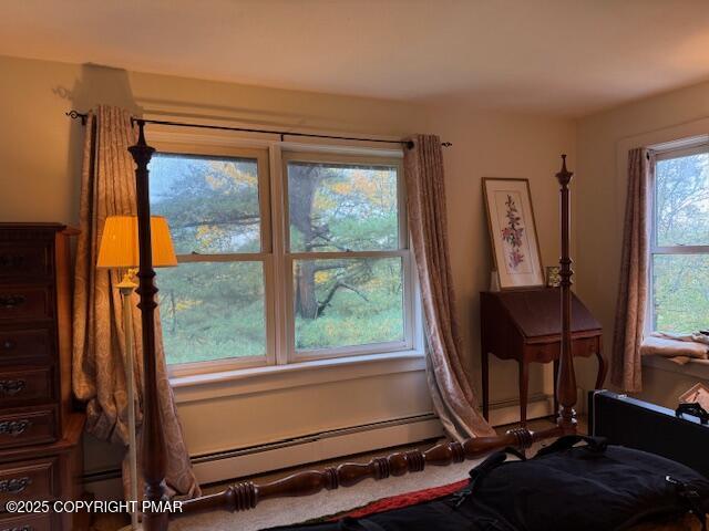 113 Jackson Road Shavertown, PA 18708 - Photo 44 of 49 IMG_2309