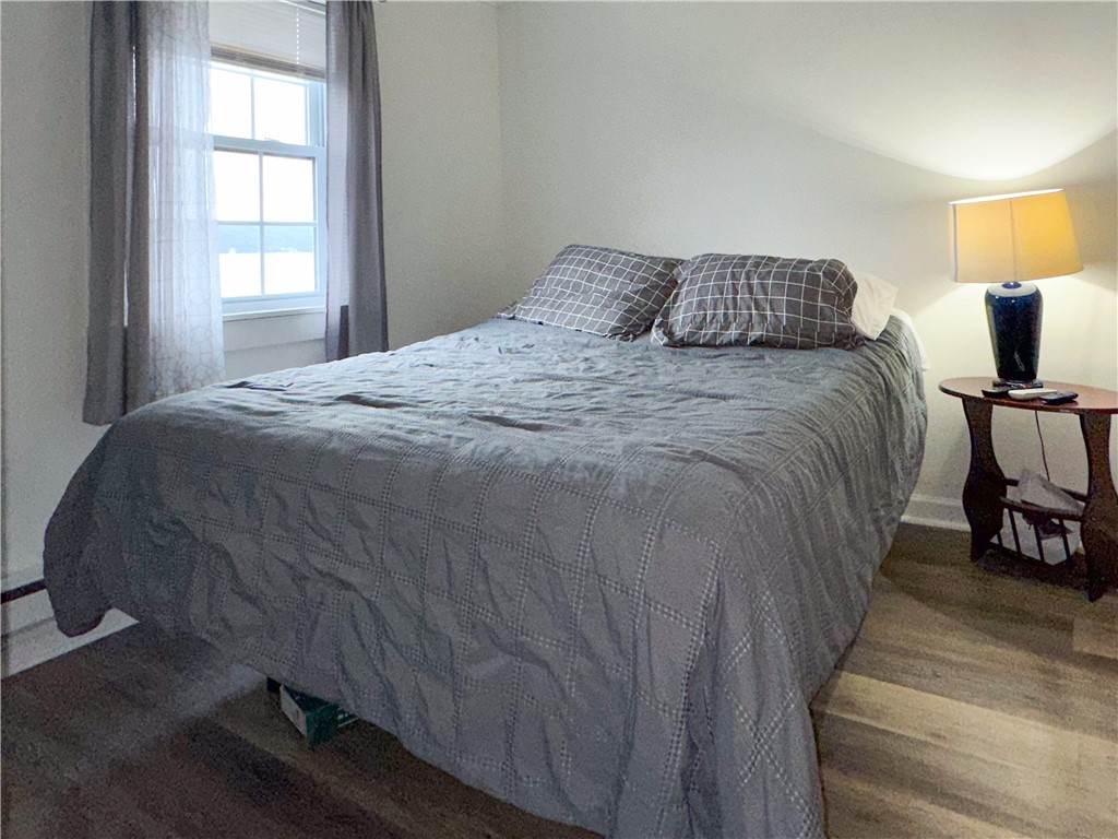 5535 Peach Orchard Point Hector, NY 14841 - Photo 12 of 43