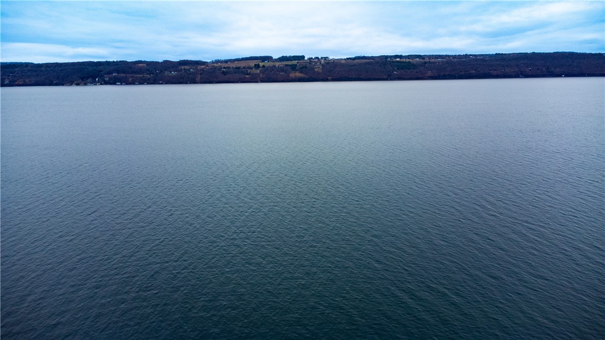 5535 Peach Orchard Point Hector, NY 14841 - Photo 43 of 43