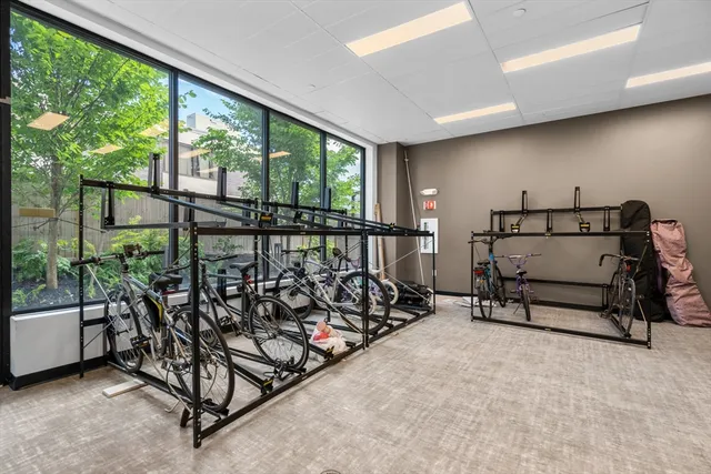 $2,595 | 50 Leo M Birmingham Parkway, Unit 405, Boston, MA 02135