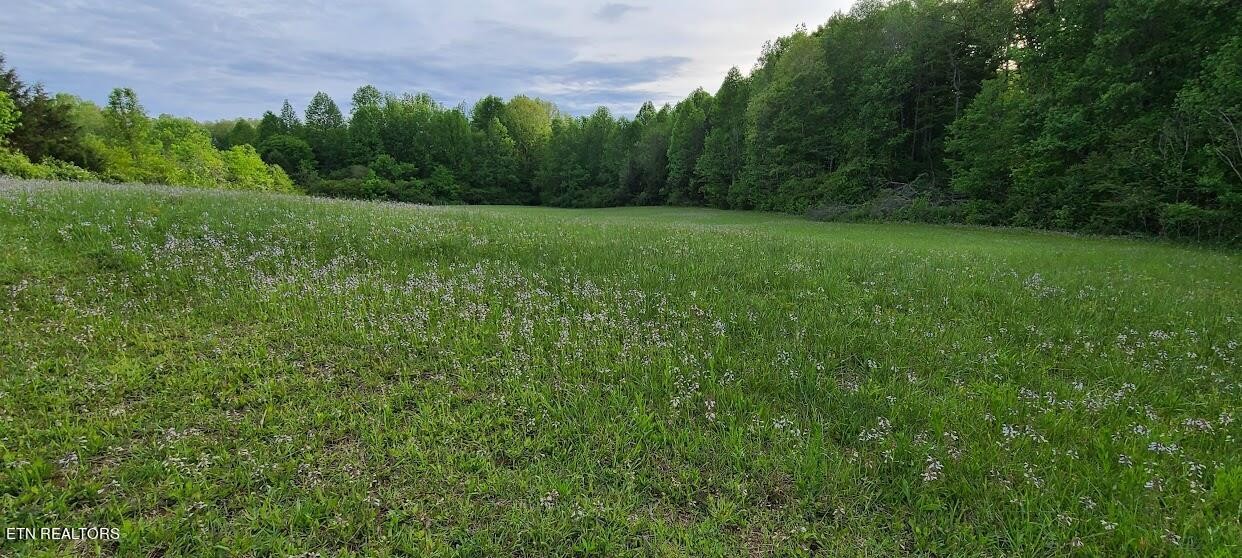 0 Jones Crossing Road Whitwell, TN 37397 - Photo 3 of 5 Gallery Image 3