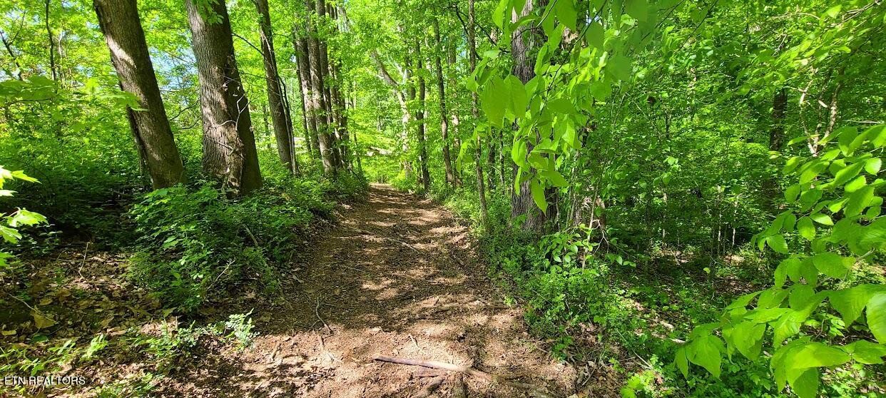 0 Jones Crossing Road Whitwell, TN 37397 - Photo 4 of 5 Gallery Image 4
