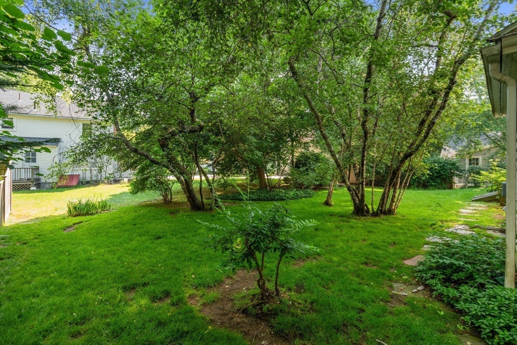 10 Wilde Road Wellesley, MA 02481 - Photo 24 of 30