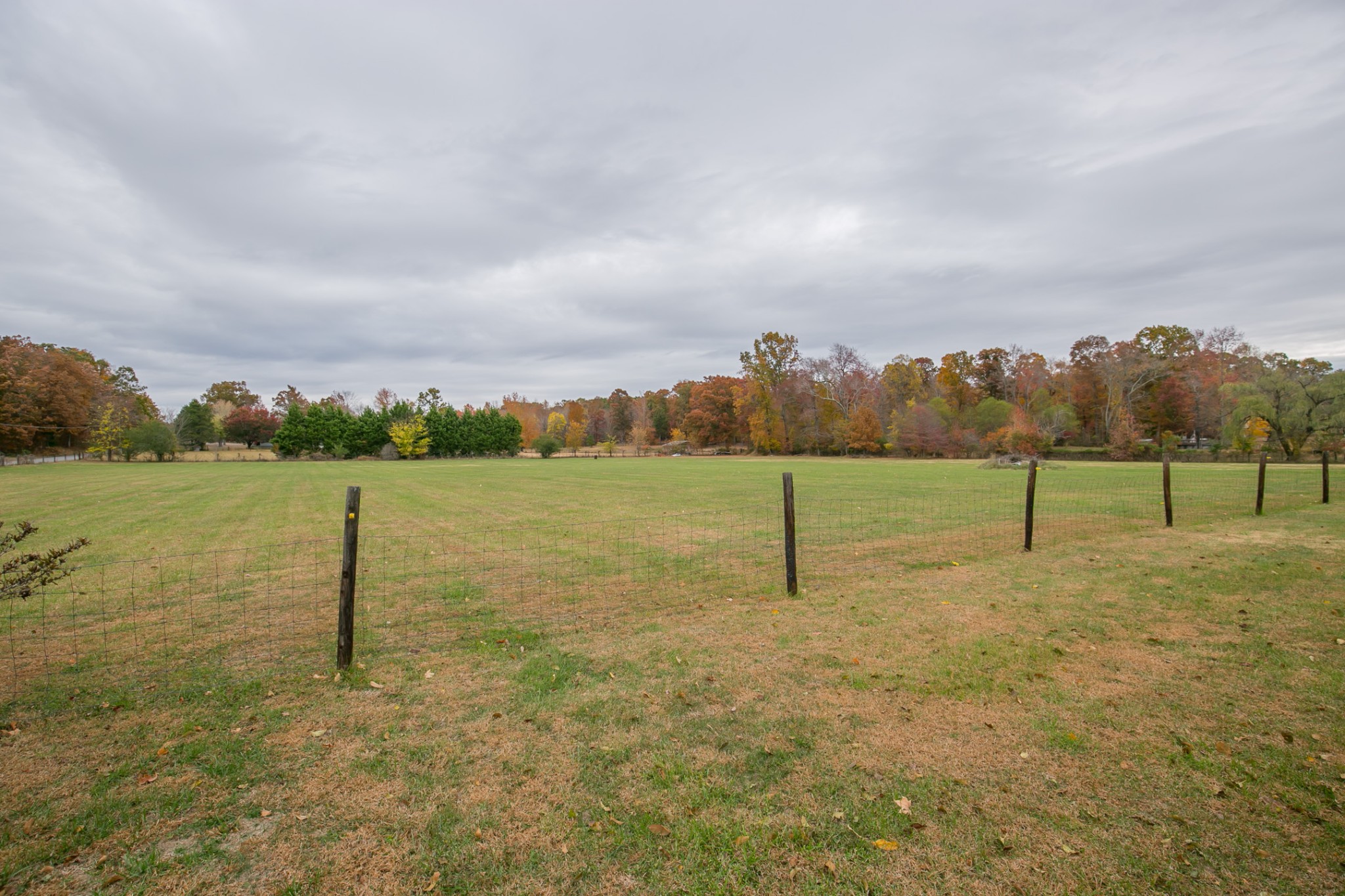 654 Grindstone Hollow Road Dickson, TN 37055 - Photo 6 of 53