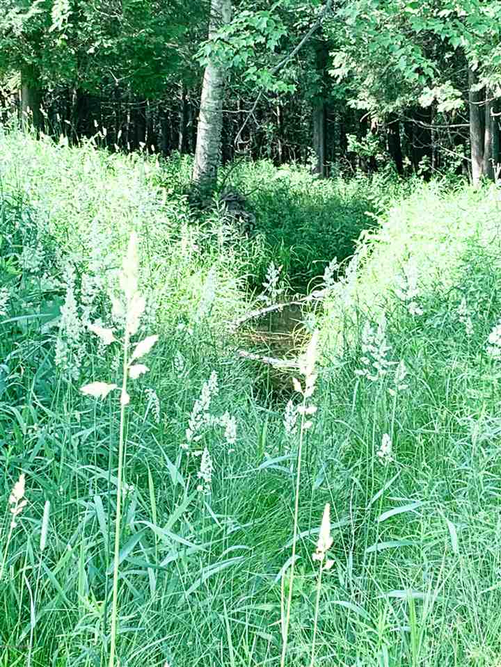 Tbd 7 Mile (86.47 Acres) Road Remus, MI 49340 - Photo 24 of 29