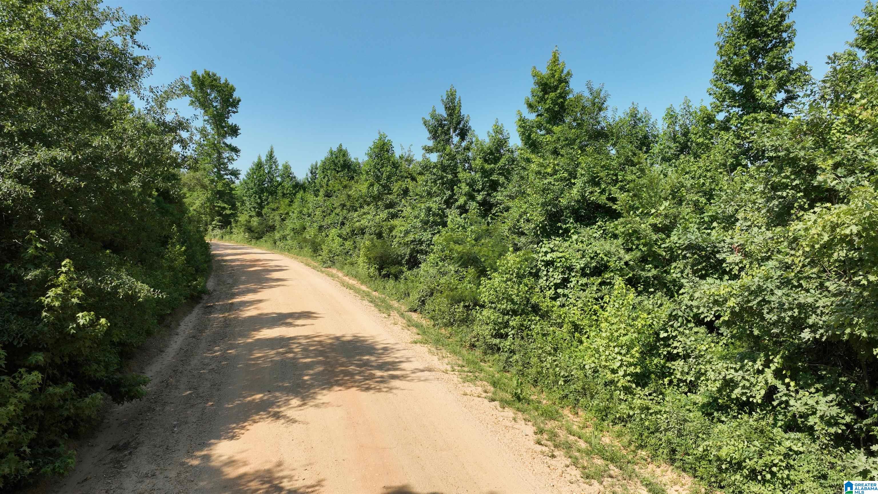 2 County Road 253, Unit 2 Clanton, AL 35046 - Photo 11 of 40