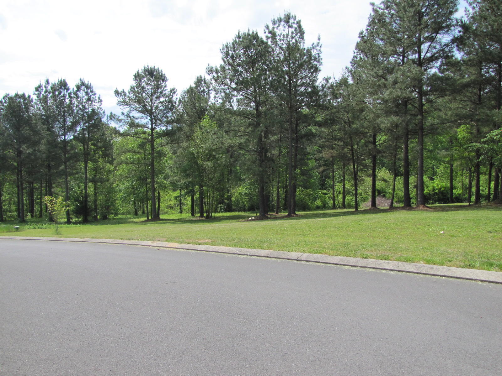 112 Rivers Edge Lane Benton, TN 37307 - Photo 11 of 18 IMG_6276