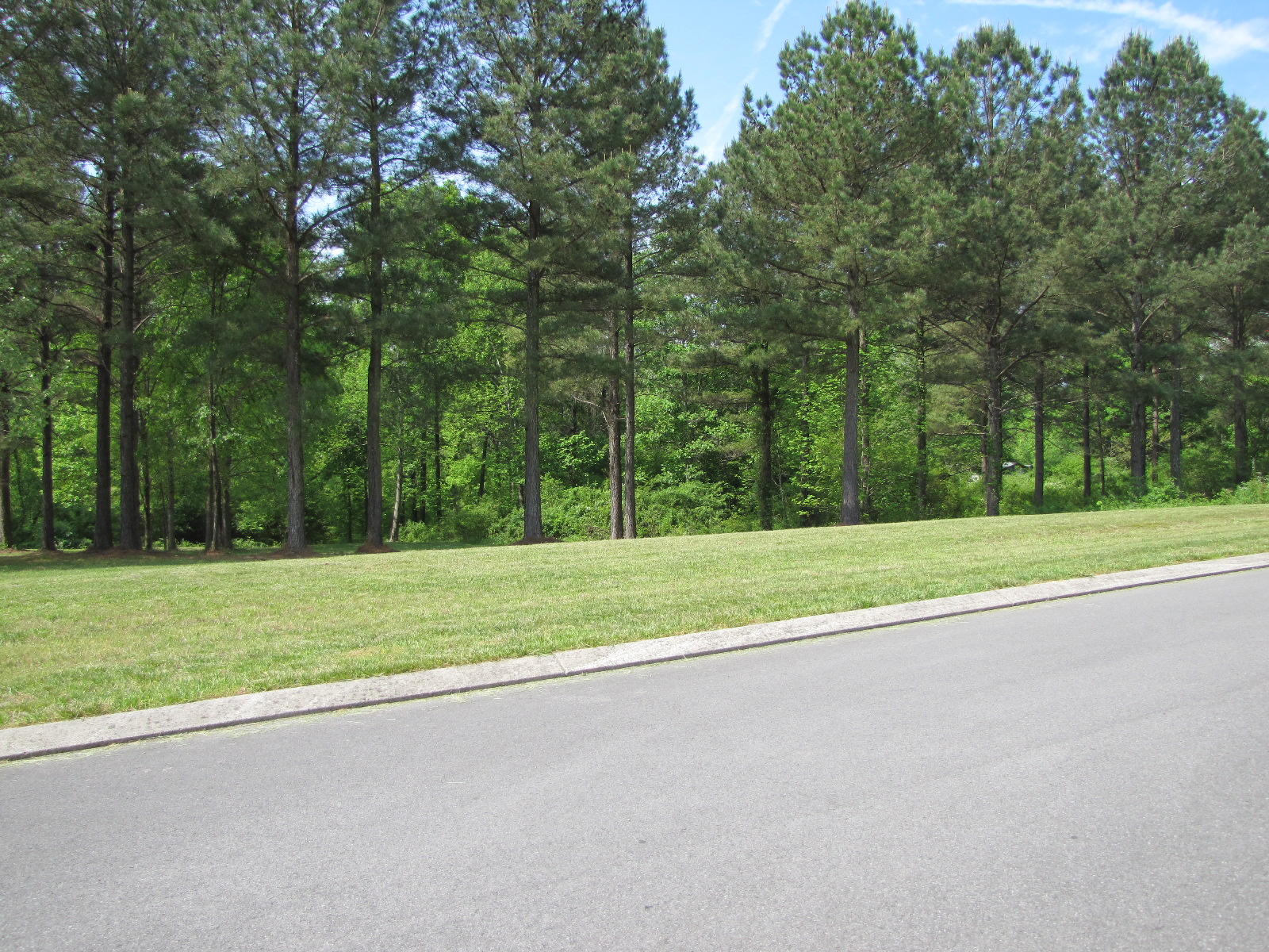 112 Rivers Edge Lane Benton, TN 37307 - Photo 12 of 18 IMG_6277